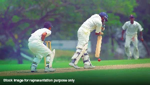 Cricket Pitch